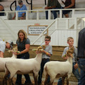 IMG_9432.JPG