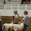 IMG_9433.JPG