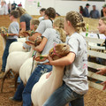IMG_9435.JPG