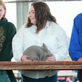 IMG_9451.JPG