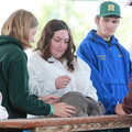 IMG_9461.JPG
