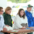 IMG_9500.JPG