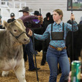 31D35692-CAAF-44F2-8CD4-8B6547A8A4C4_1_105_c.jpeg