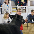 39E73D5C-C665-4232-A7BB-7929853555B6_1_201_a.jpeg