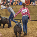A01A9319-5D71-4773-AA24-844663B14972_1_105_c.jpeg