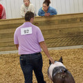 A19C7198-CCAE-4914-911D-3069E9BDC9FD_1_201_a.jpeg