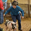 CC70BDE5-1194-491B-9F1A-690387A57397_1_201_a.jpeg