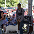 IMG_8437.jpeg