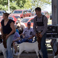 IMG_8438.jpeg