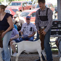 IMG_8439.jpeg