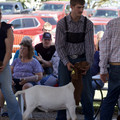 IMG_8440.jpeg