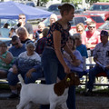 IMG_8456.jpeg