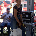 IMG_8461.jpeg