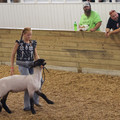 IMG_8469.jpeg