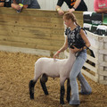 IMG_8476.jpeg