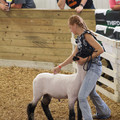 IMG_8477.jpeg