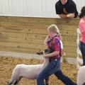 IMG_8500.jpeg