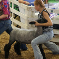 IMG_8509.jpeg
