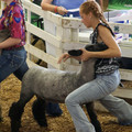 IMG_8510.jpeg