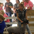 IMG_8599.jpeg