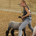 IMG_8609.jpeg
