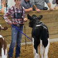 IMG_8672.jpeg