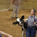 IMG_8687.jpeg