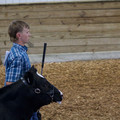 IMG_8837.jpeg