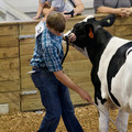 IMG_8851.jpeg